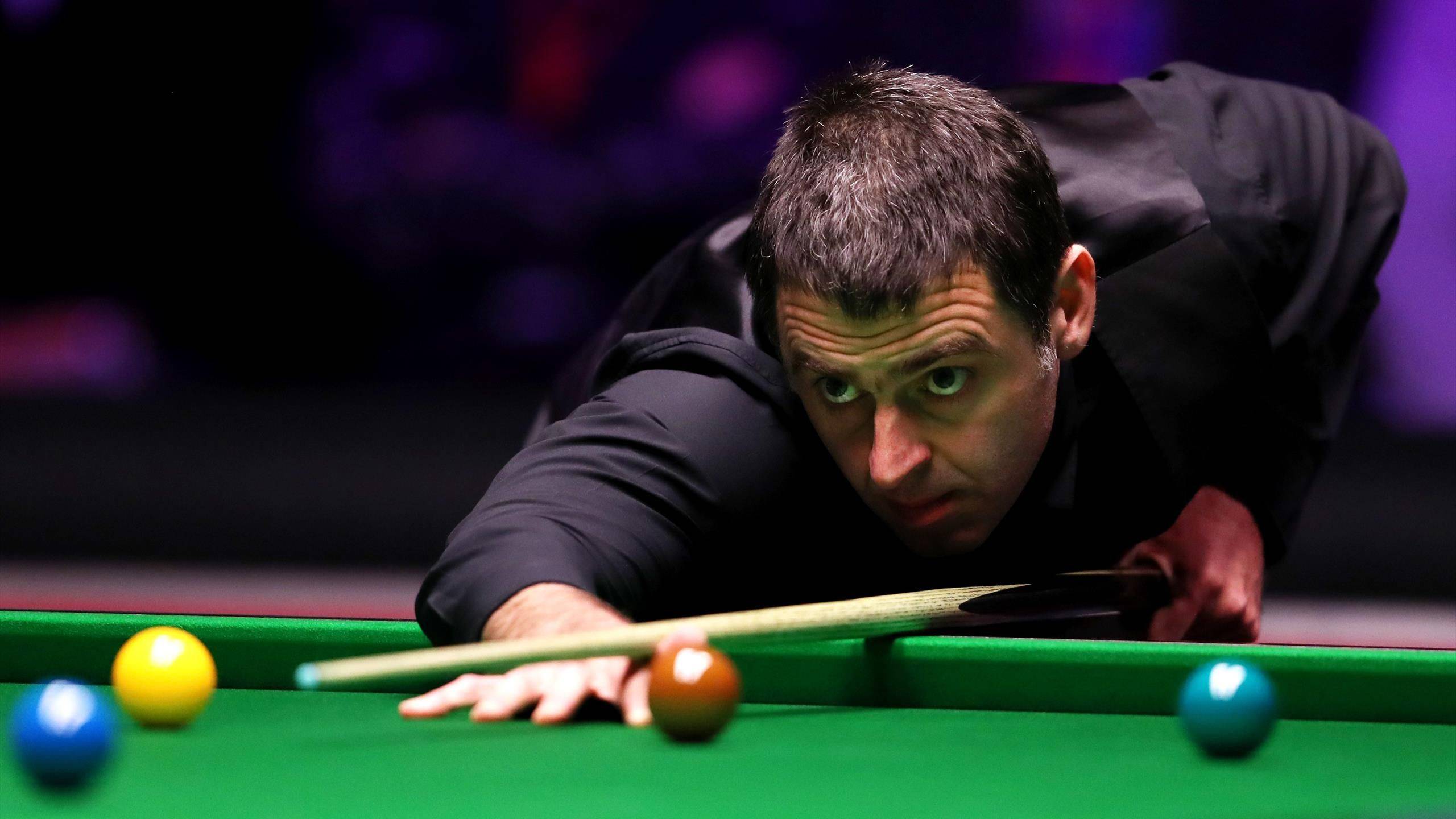 他职业生涯 他职业生涯